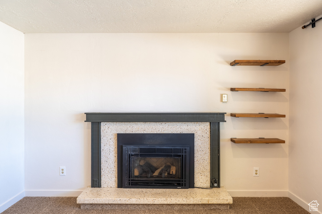 Detailed view of carpet flooring, a fireplace with raised hearth, and a textured ceiling