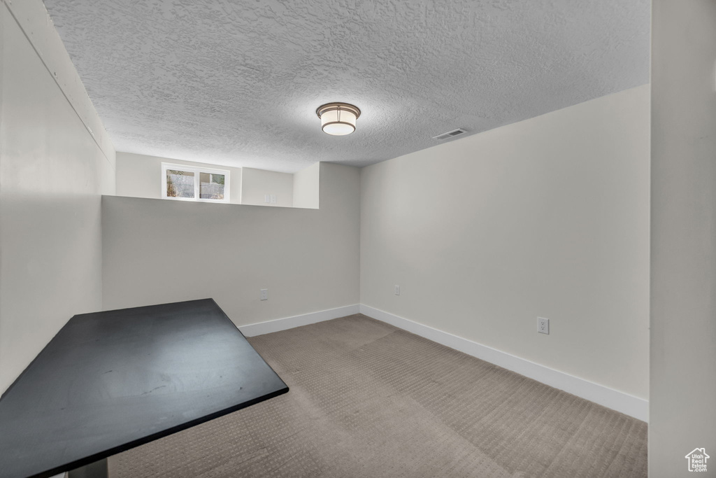 Below grade area featuring carpet and a textured ceiling