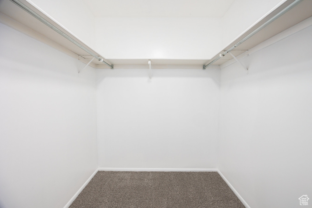 Walk in closet with carpet flooring