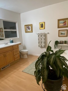 Bathroom featuring vanity and wood finished floors