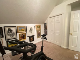 Workout room featuring vaulted ceiling and carpet floors