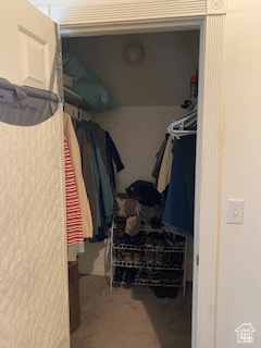 Walk in closet featuring carpet floors