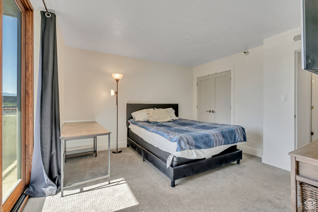 Bedroom with light carpet and multiple windows
