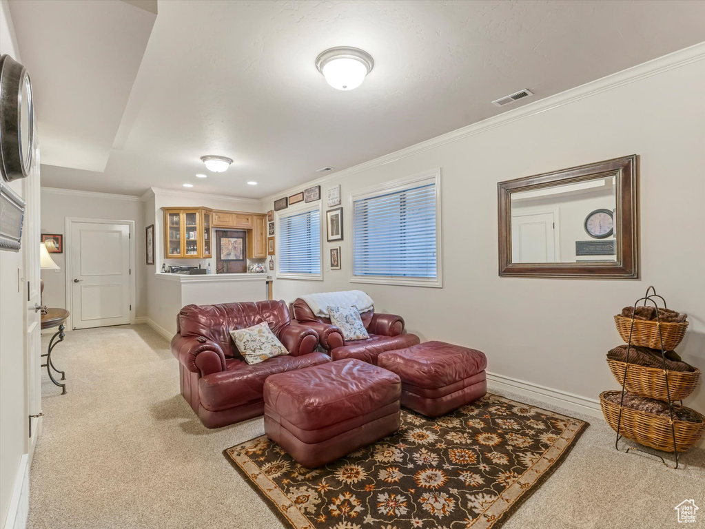 Living area featuring light carpet and crown molding