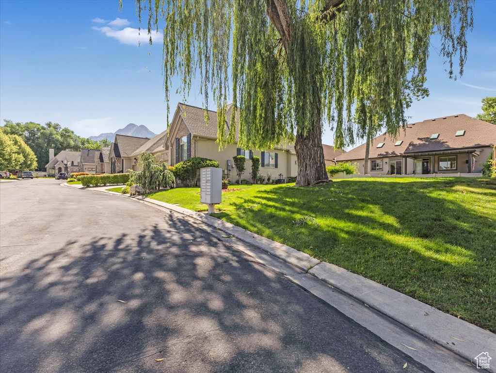 View of front of house with a front yard, a residential view, and stucco siding