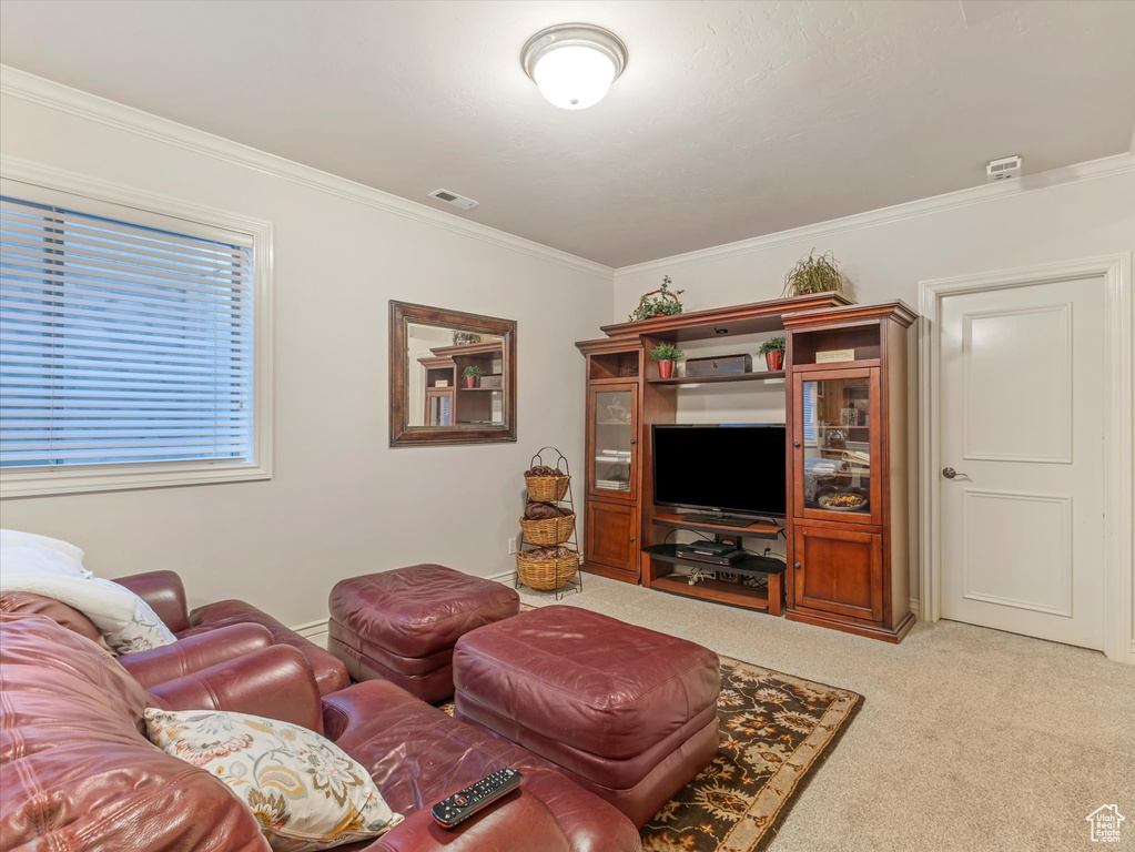 Carpeted living area featuring crown molding