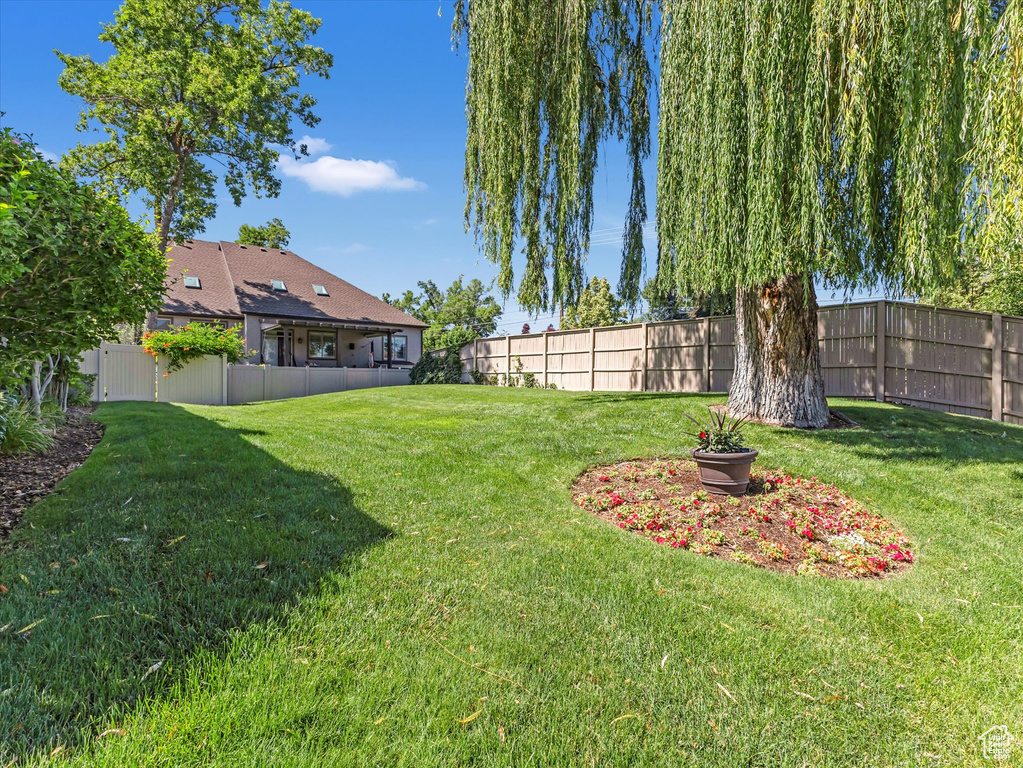View of fenced backyard