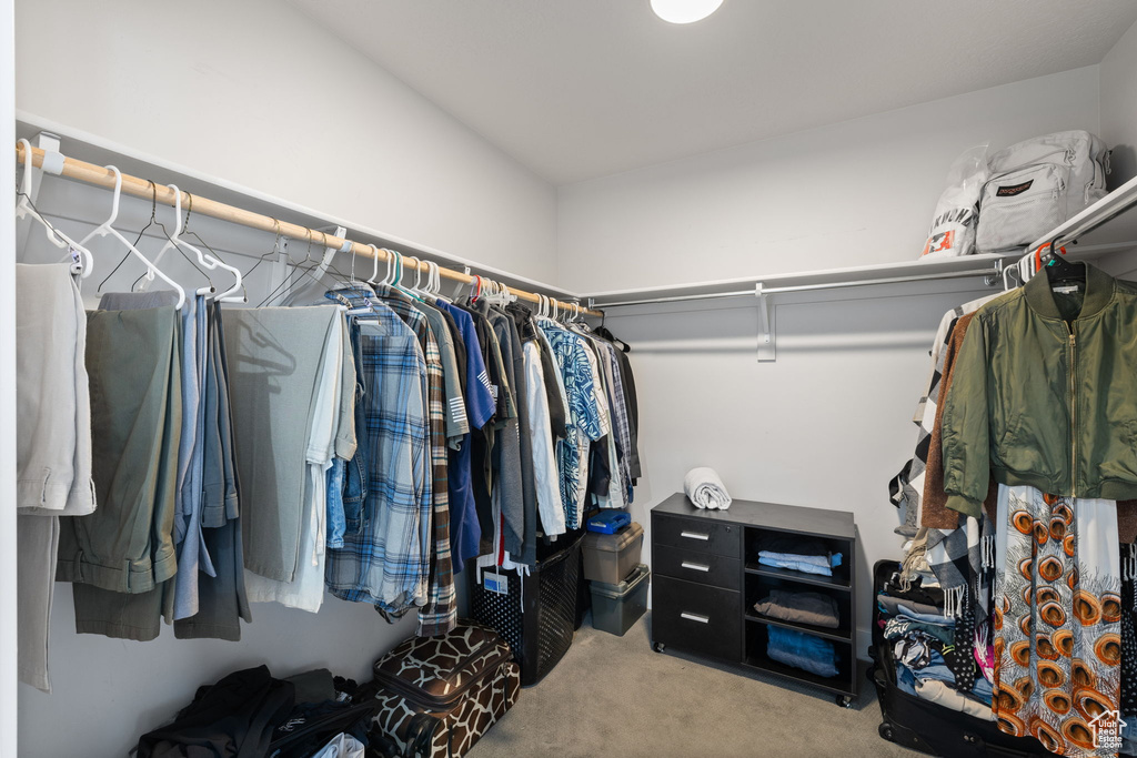Walk in closet with carpet flooring