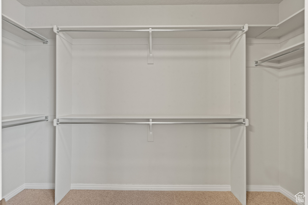 Spacious closet with carpet