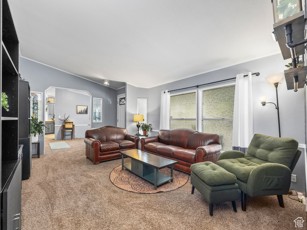 Living room featuring carpet flooring, ornamental molding, and arched walkways
