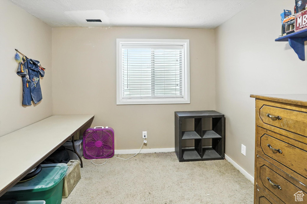 Interior space with carpet flooring