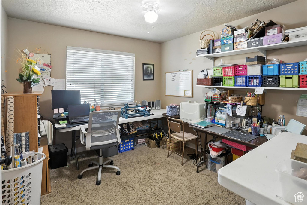 Office area featuring carpet floors and a textured ceiling