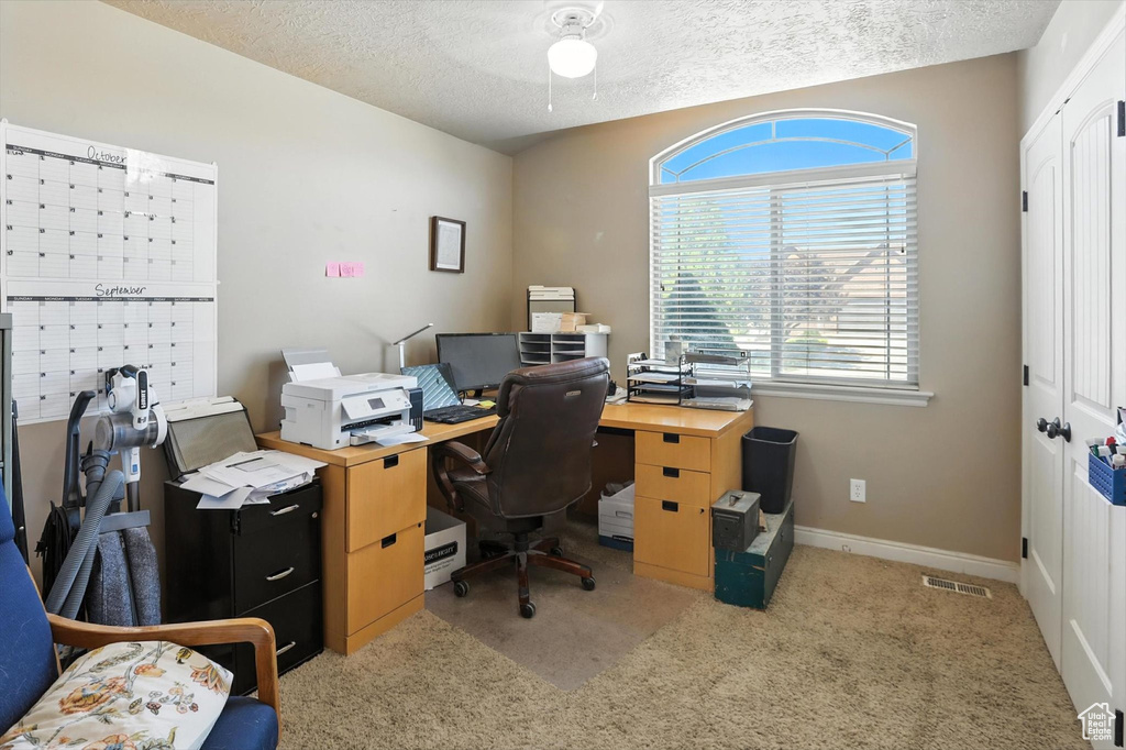 Office featuring carpet flooring and a textured ceiling