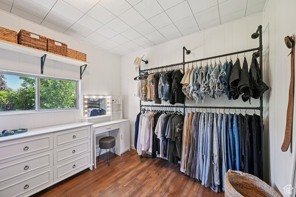 Spacious closet with dark wood-type flooring