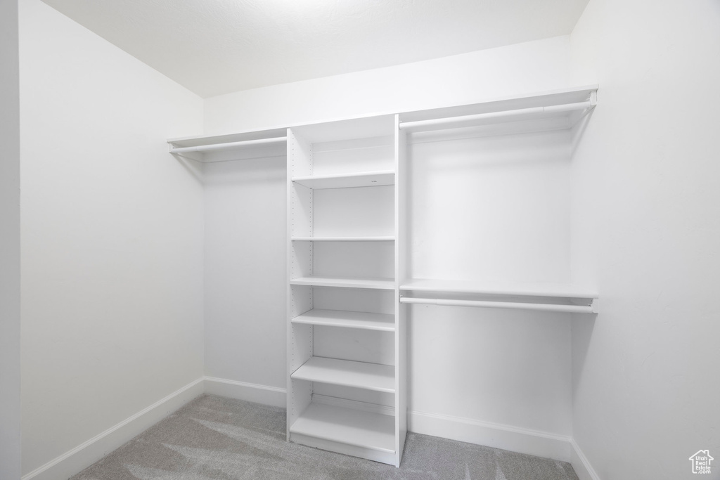 Spacious closet featuring carpet floors