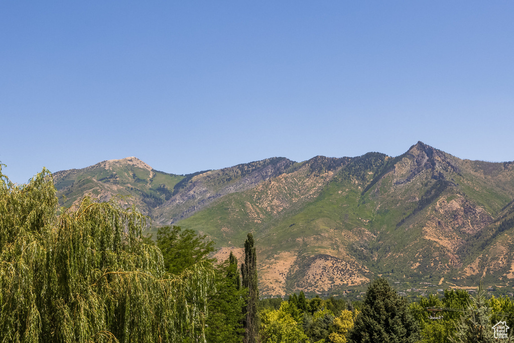 View of mountain background