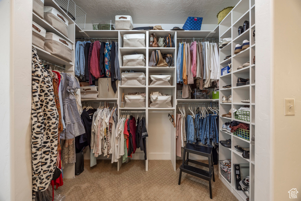 Walk in closet featuring carpet floors