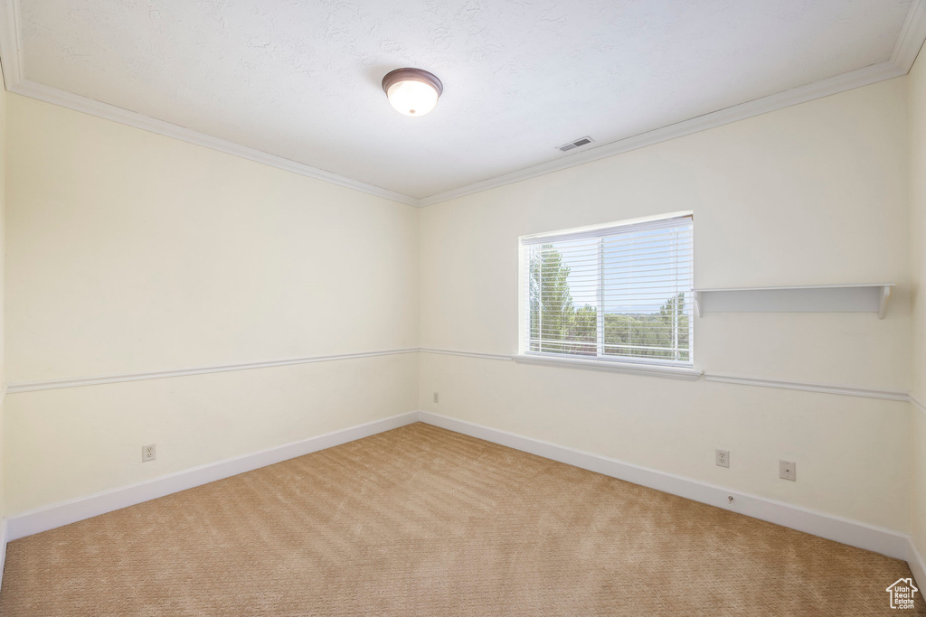 Spare room featuring carpet flooring and ornamental molding