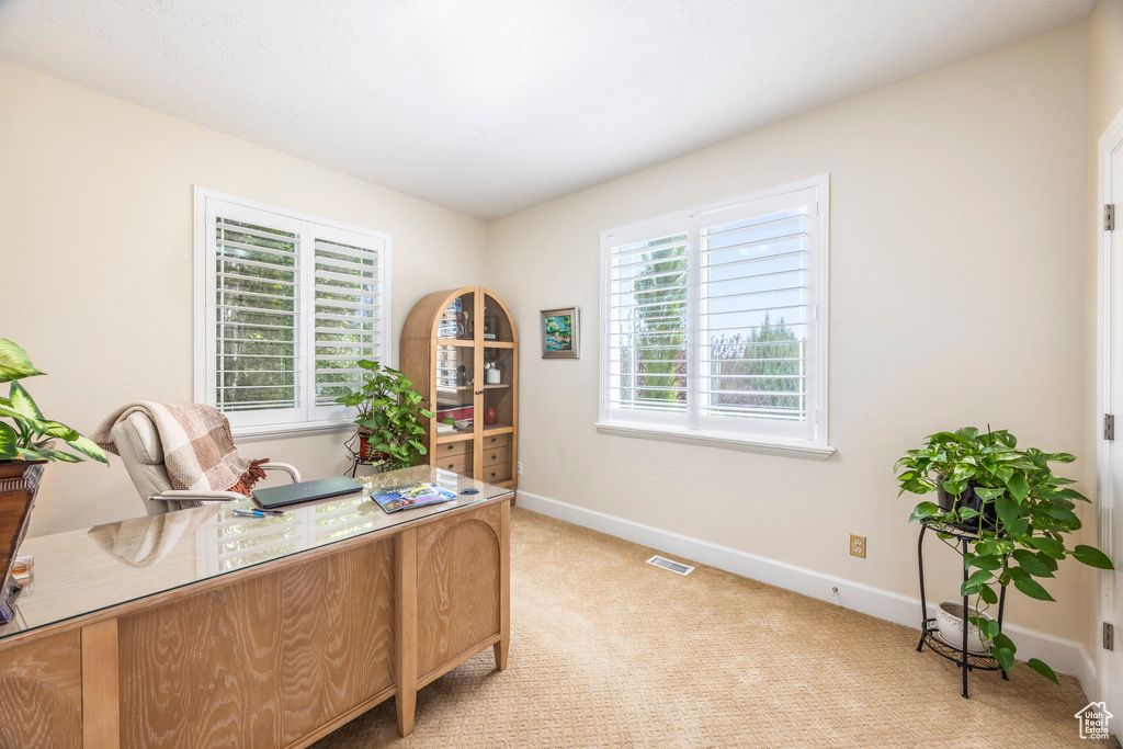 Office area with light carpet and baseboards