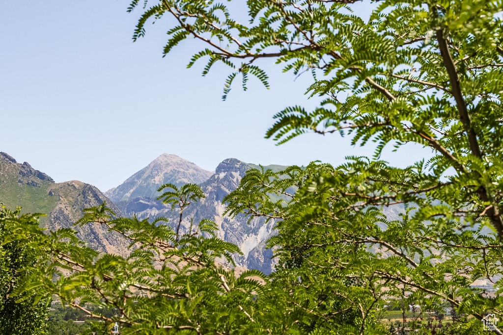Mountain view