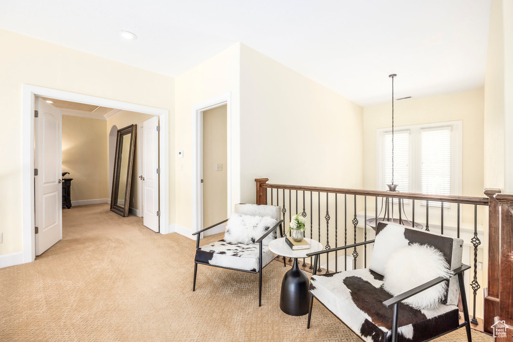 Living area with light carpet and baseboards