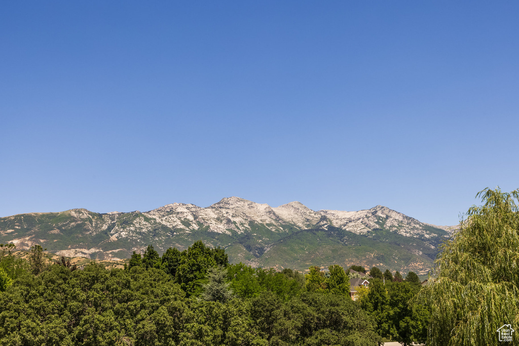 Mountain view