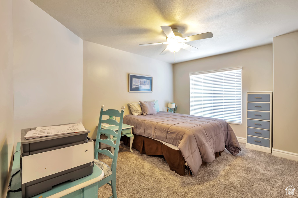 483 W 3500 N Pleasant View, UT 84414