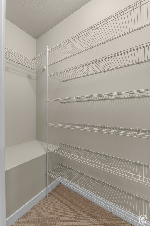 Walk in closet featuring carpet flooring