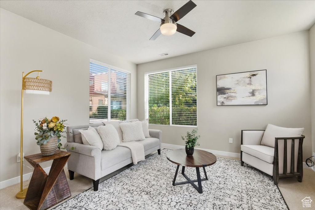 Photo 3 for MLS #2097680 at 1012 W Willow Wind Dr