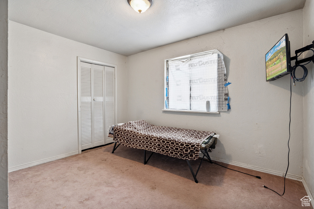 Bedroom with a closet and carpet flooring