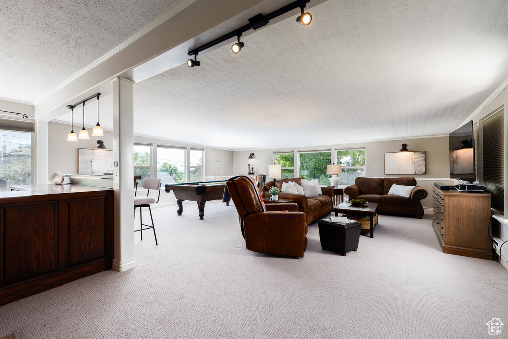 Living area featuring billiards table, rail lighting, light colored carpet, ornamental molding, and a textured ceiling