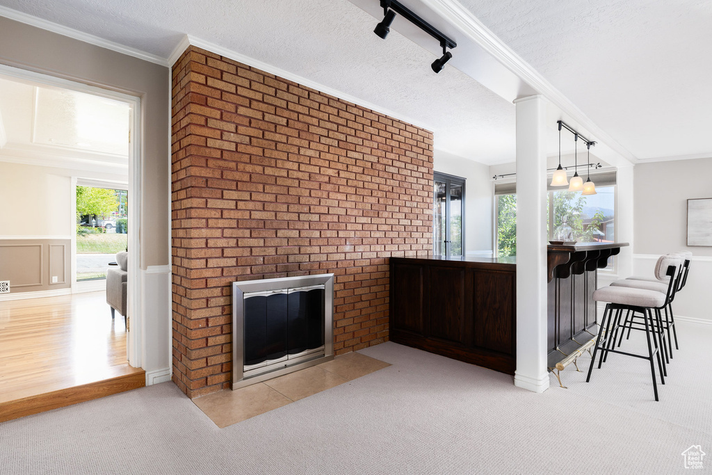 Living area featuring a fireplace, carpet flooring, ornamental molding, and a wainscoted wall