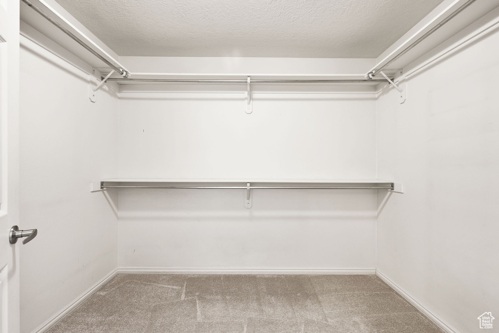 Spacious closet with carpet flooring