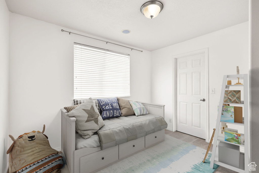 Living room with carpet floors