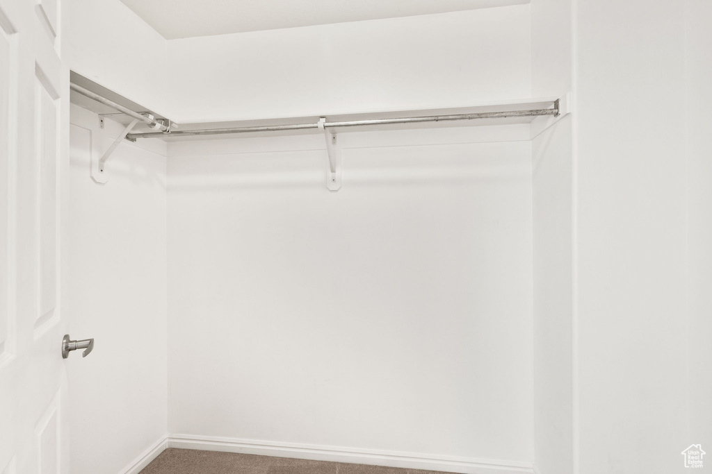 Spacious closet with carpet flooring