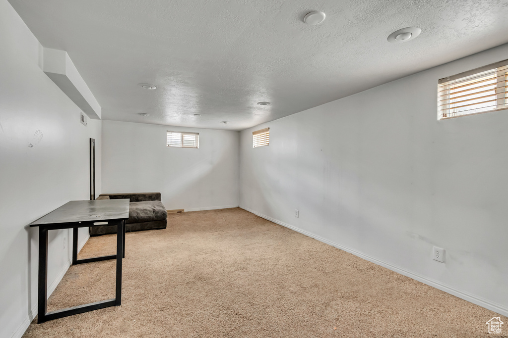 Basement featuring carpet floors, plenty of natural light, and a textured ceiling