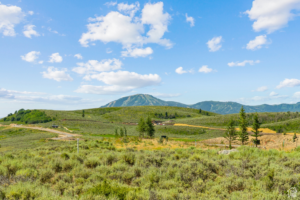 Mountain view featuring rural landscape