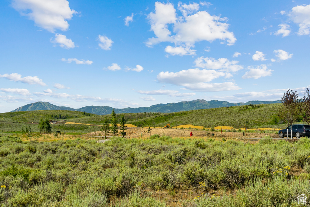 Mountain view featuring rural landscape