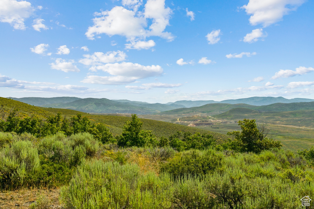 Mountain view