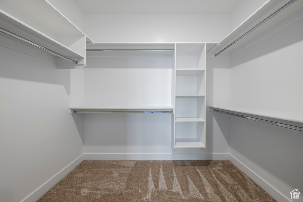 Walk in closet with carpet flooring