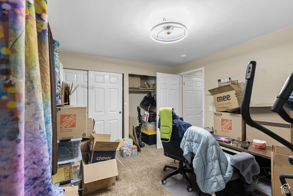 Office space with carpet floors