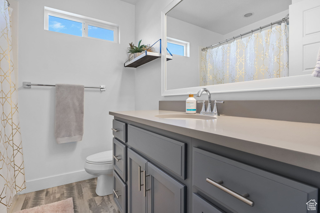 Bathroom with vanity, plenty of natural light, and wood finished floors