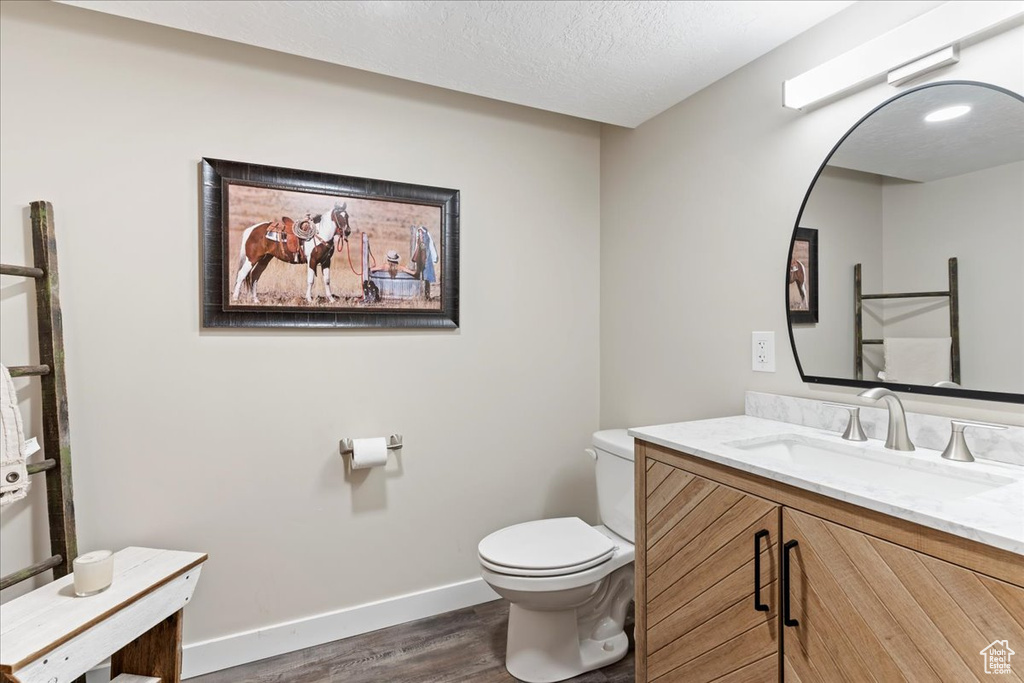 Bathroom featuring wood finished floors, vanity, and a textured ceiling