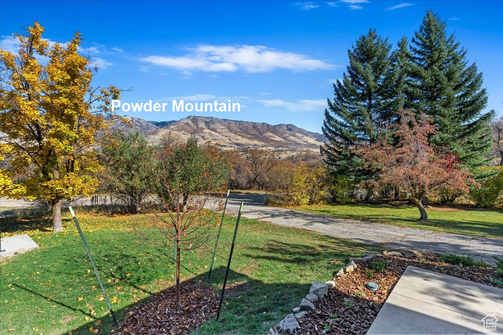 View of grassy yard with a mountain view