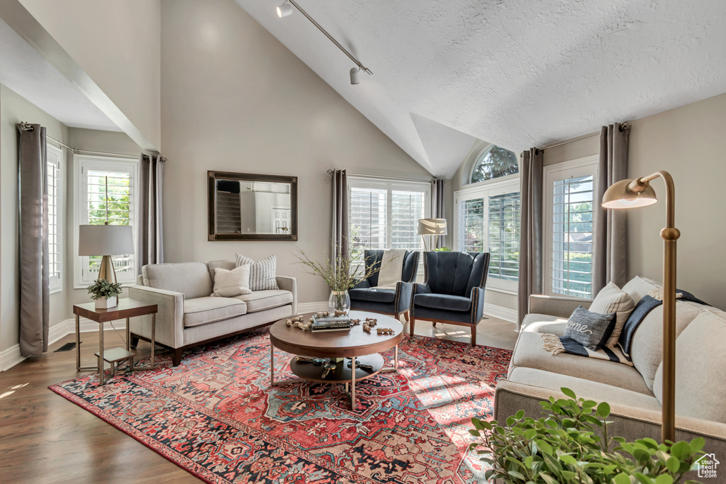 Living area featuring wood finished floors and vaulted ceiling