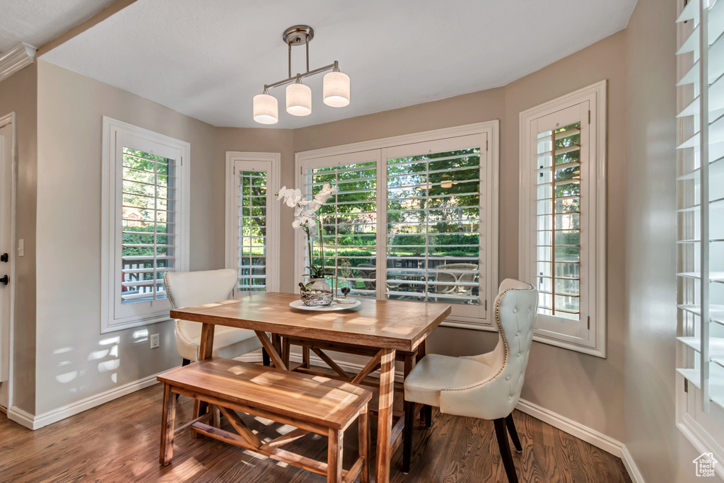 Dining space featuring wood finished floors, plenty of natural light, and a chandelier