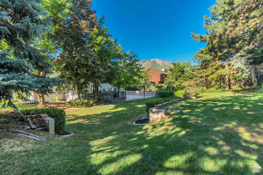 View of grassy yard with a mountain view