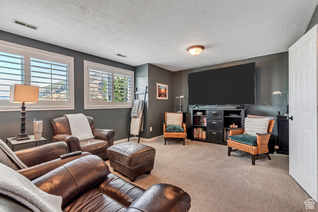 Living area with carpet flooring and a textured ceiling