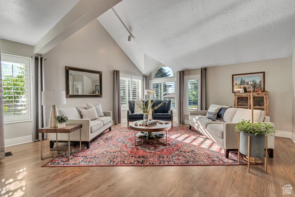 Living room with wood finished floors, plenty of natural light, a textured ceiling, and vaulted ceiling
