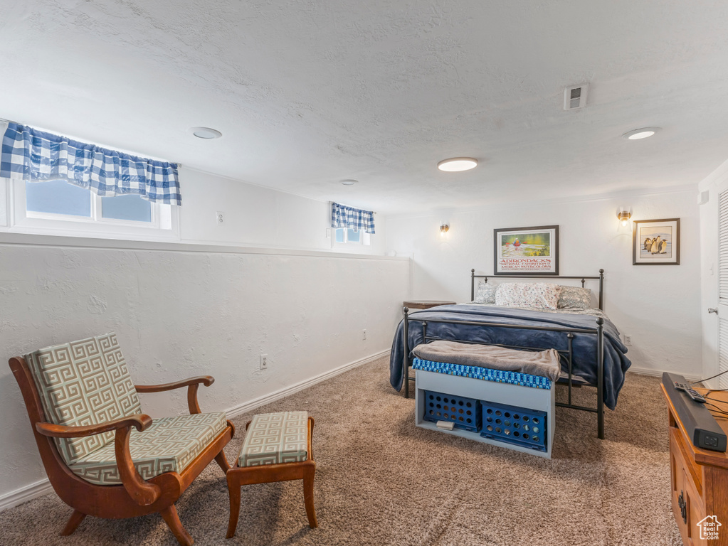 Bedroom featuring carpet and a textured ceiling